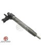 AFI Diesel Injector