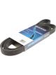 Dayco Auto Poly Rib Belt Double Side