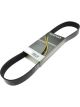 Dayco Auto Poly Rib Belt