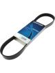 Dayco 5060955 W Profile Polyrib Belt