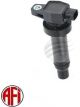AFI Ignition Coil