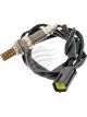 AFI Oxygen Sensor