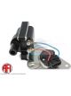 AFI Ignition Coil & Module