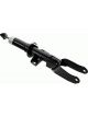 Sachs Shock Absorber