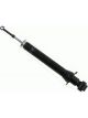 Sachs Shock Absorber