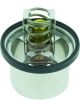 BHS Thermostat Daf 95
