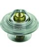 BHS Thermostat Mercedes Actros Atego Axor Mk Sk