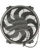 Jayair Fan 13