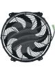 Jayair Fan 16