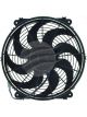 Jayair Fan 13