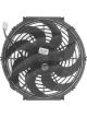 Jayair Fan 11