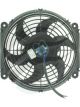 Jayair Fan 10