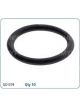 Jaylec For Nissan Side Feed Lower Injector