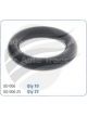 Jaylec Lower Injector O'Ring - Pk 25