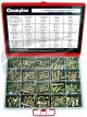 Champion Unf Stainless Steelcrews Bolts & Nuts Asst