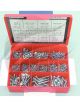 Champion Self Tapping Screws Pn HD Phil