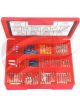 Champion Auto Fuse Assortment