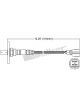Jaylec Oxygen Sensor 4-W Nz Only Use Oxy2198