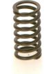 Bosch Spring Part Set Diesel