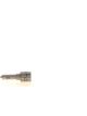 Bosch Hole-Type Nozzle (433171983)