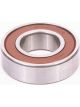 Bosch Bearing