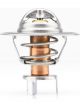 Tridon Thermostat