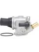 Tridon Thermostat