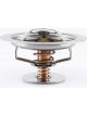 Tridon Thermostat