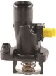 Tridon Thermostat