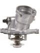 Tridon Thermostat