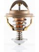 Tridon Thermostat