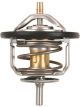 Tridon Thermostat