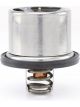 Tridon Thermostat
