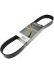 Dayco Auto Poly Rib Belt
