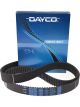 Dayco Timing Belt 123Shp+240H T823