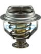 Dayco Thermostat