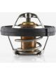 Tridon Thermostat