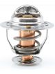 Tridon Thermostat