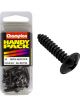 Champion Self Tapping Phillips Screws 4.8mm x 19mm Black Pack of 10