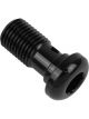 Proflow Black Allen Head Bolt 3/8in. x 24 20mm Long