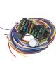 Proflow Wiring Harness, 12-Circuit, Dash Ignition, Fuse Block, Spade