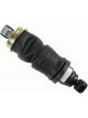 Sachs Pneumatic  Shock Absorber