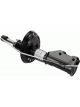 Sachs Shock Absorber