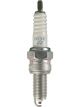 NGK Spark Plug