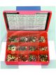 Champion Speed Nut Assortment