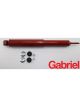 Gabriel Guardian Gas Shock Absorber