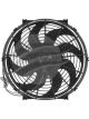Jayair Fan 11