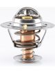 Tridon Thermostat