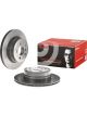 Brembo Brake Rotor