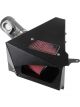 AEM Cold Air Intake System